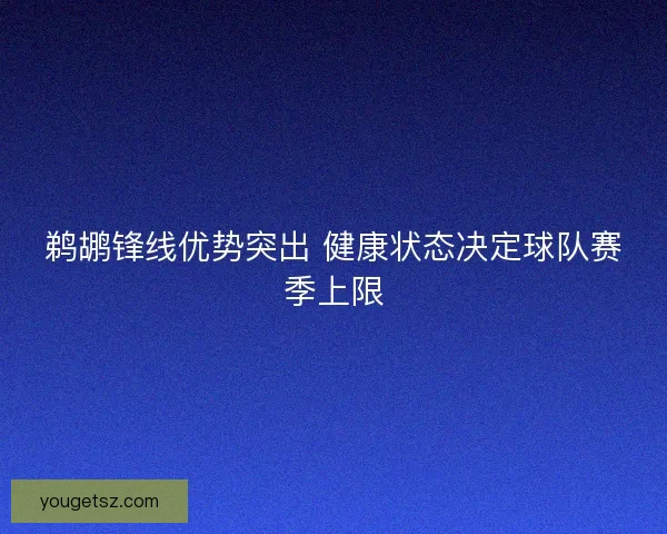 鹈鹕锋线优势突出 健康状态决定球队赛季上限